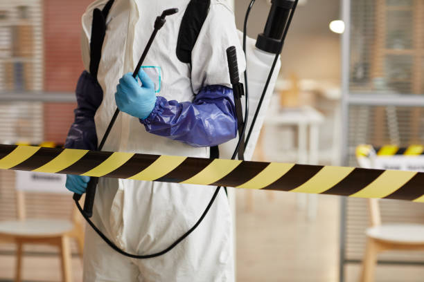 Professional Sewage Cleanup technician working in Cantil, CA